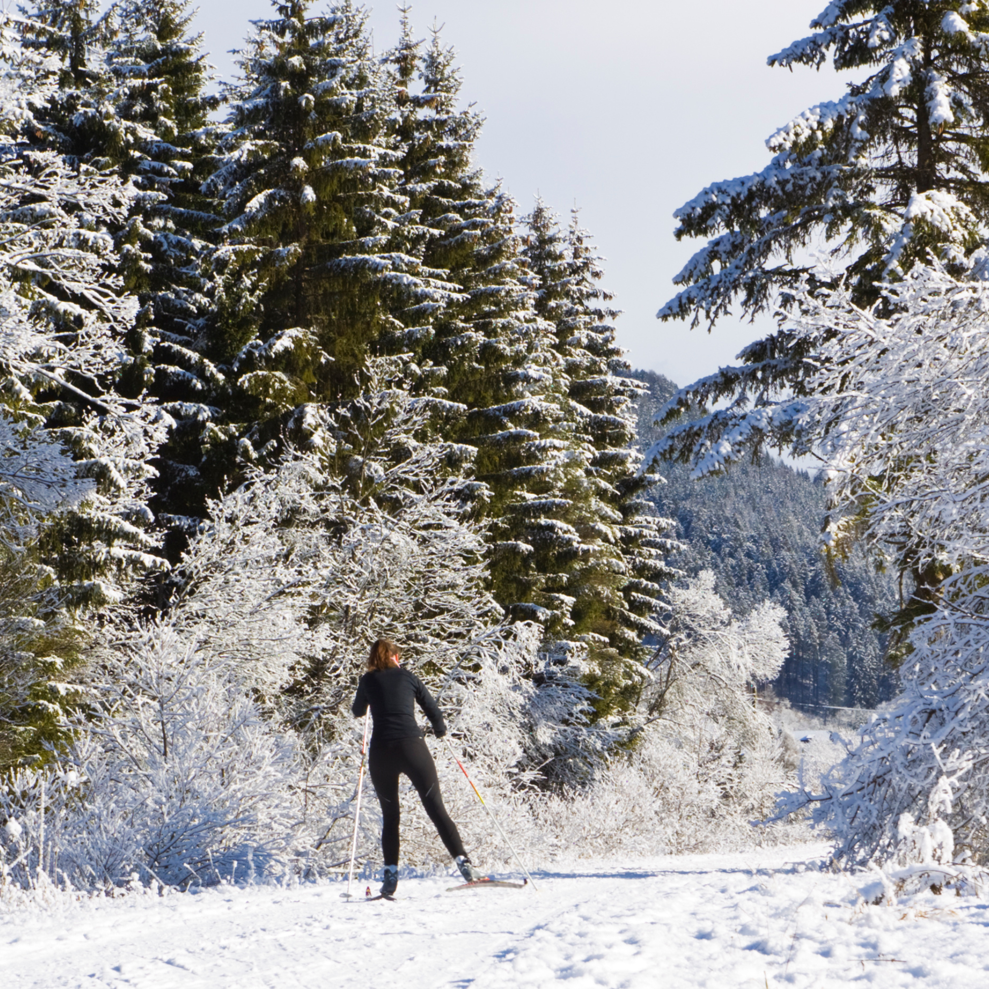 Nordic Skiing